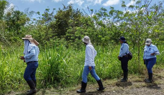 INSPECCIONAN FRANJAS FORESTALES PROTECTORAS DEL RÍO CAUCA