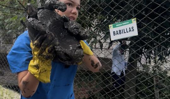 UNA BABILLA Y 32 TORTUGAS BUSCARÁN LA LIBERTAD TRAS 17 AÑOS DE CAUTIVERIO