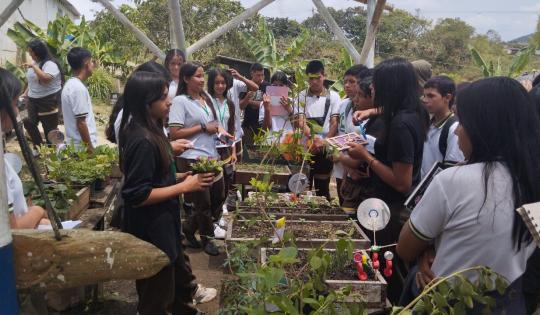 PROYECTO AMBIENTAL ESCOLAR EN DAGUA TRANSFORMA RESIDUOS EN OPORTUNIDADES SOSTENIBLES