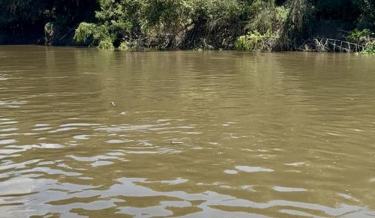 EL RÍO CAUCA NOS HABLA. CONOCE LA TRAVESÍA PARA ESCUCHARLO Y PROTEGERLO