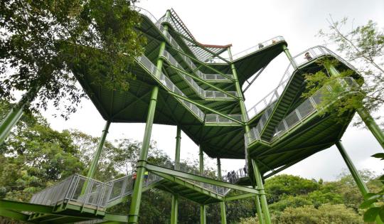 INGRESO DE PÚBLICO A LA TORRE DE AVISTAMIENTO PANCE ES COORDINADO POR RECREAVALLE