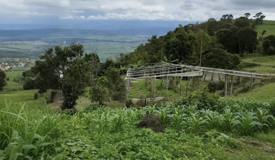 FINCA EL MILAGRO, EN ROLDANILLO: UN MODELO DE EDUCACIÓN AMBIENTAL Y PRODUCCIÓN SOSTENIBLE DE PUERTAS ABIERTAS