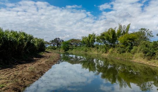 CVC HIZO LIMPIEZA MANUAL Y MECÁNICA A TRES HUMEDALES DE BOCAS DEL PALO