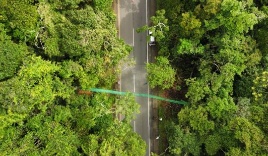 NUEVOS PASOS DE FAUNA SILVESTRE EN EL VALLE PARA DAR VÍA A LA VIDA