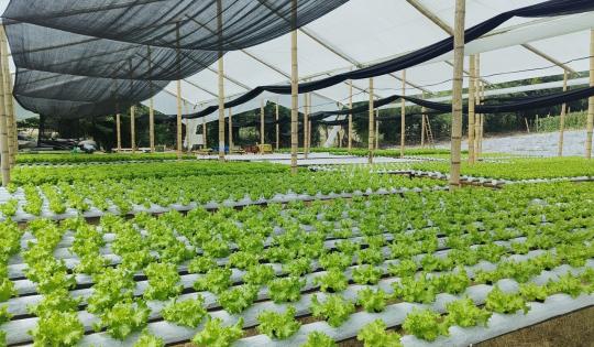 LA CVC IMPULSA LA EFICIENCIA ENERGÉTICA CON LA ENTREGA DE PANELES SOLARES