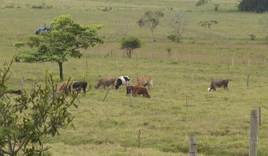 FINCA GANADERA EN YOTOCO SE CONVIERTE EN MODELO DE PROTECCIÓN DE NACIMIENTOS DE AGUA