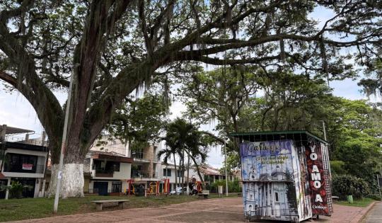 ÁRBOLES SEGUROS Y SANOS: ASÍ AVANZA EL MANTENIMIENTO DEL ARBOLADO URBANO EN CARTAGO 