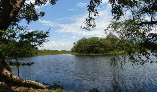 MONITOREO TÉCNICO PARA LA PROTECCION DE SUS SERVICIOS ECOSISTEMICOS