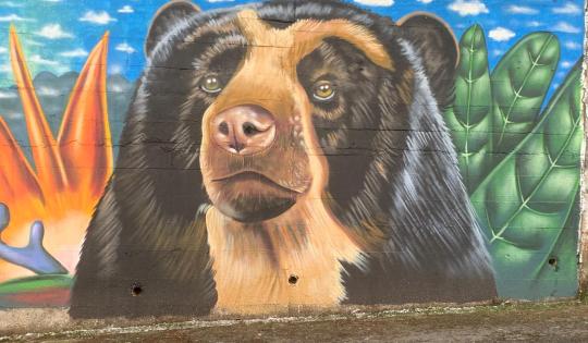 EL ÁGUILA VIVIÓ EL PRIMER FESTIVAL DEL OSO ANDINO