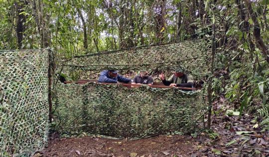SUEE BIRDING: EL REFUGIO DE AVES QUE UNE A DOS MUNICIPIOS DEL VALLE DEL CAUCA