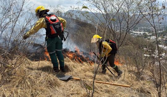 LA CVC REPORTA CERCA DE 50 INCENDIOS FORESTALES EN 21 MUNICIPIOS DEL VALLE DEL CAUCA