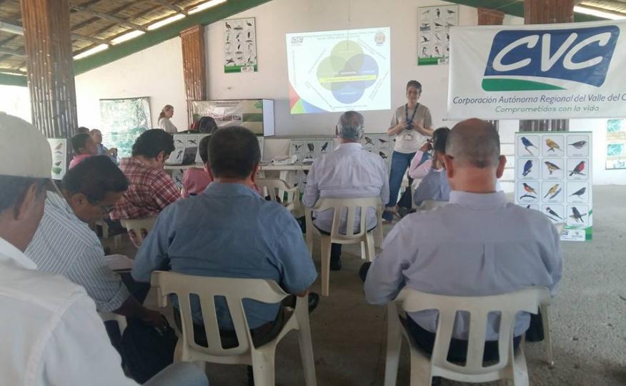 Centro de educación ambiental Buitre del ciénaga - laguna de sonso galería de imágenes 