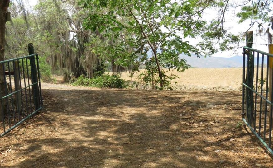 Centro de educación ambiental Buitre del ciénaga - laguna de sonso galería de imágenes 