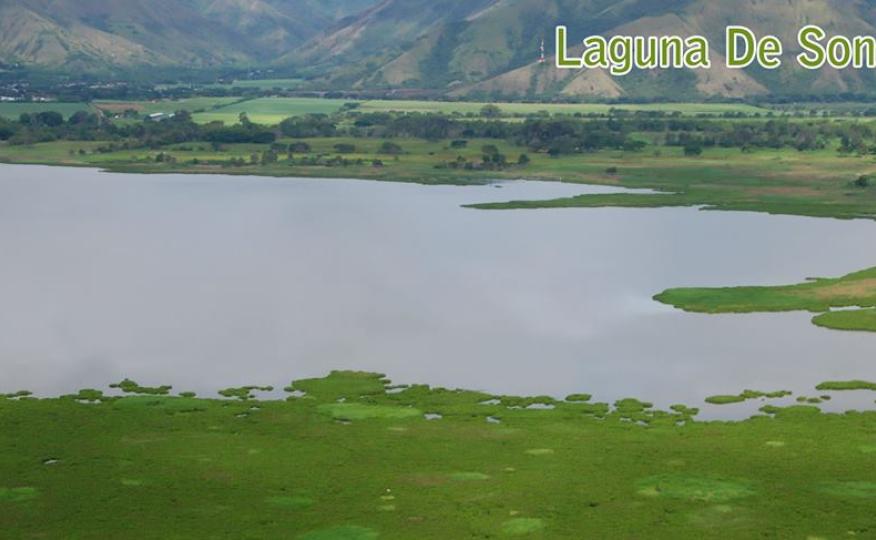 Centro de educación ambiental Buitre del ciénaga - laguna de sonso galería de imágenes 