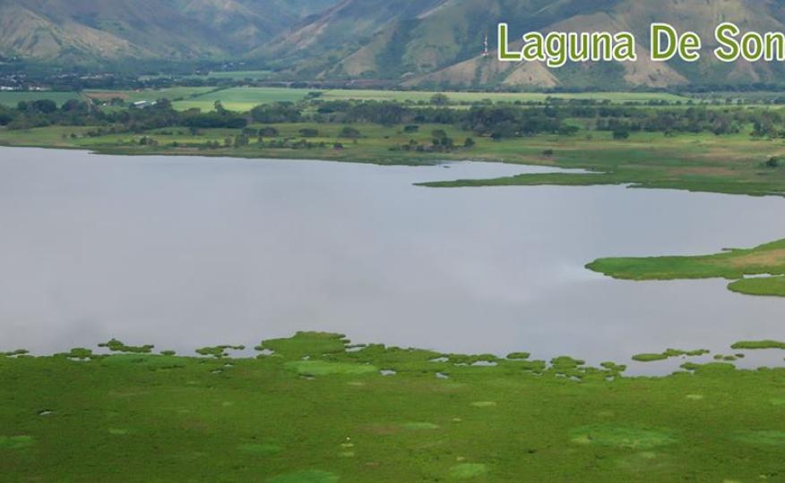 Galería de imágenes  las guacas