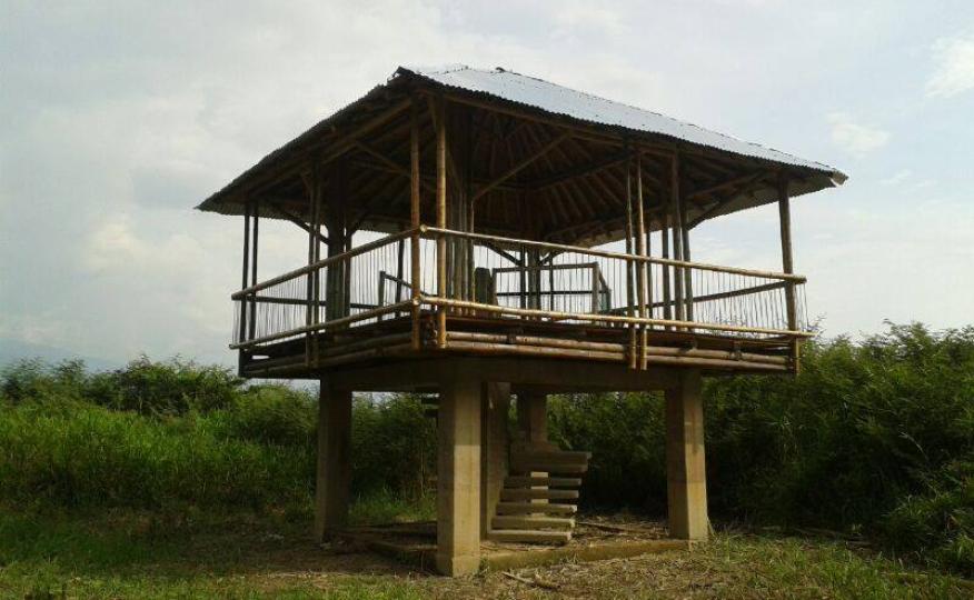 Centro de educación ambiental Buitre del ciénaga - laguna de sonso galería de imágenes 