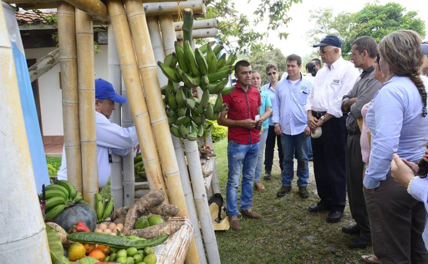 Galería de imágenes  las guacas