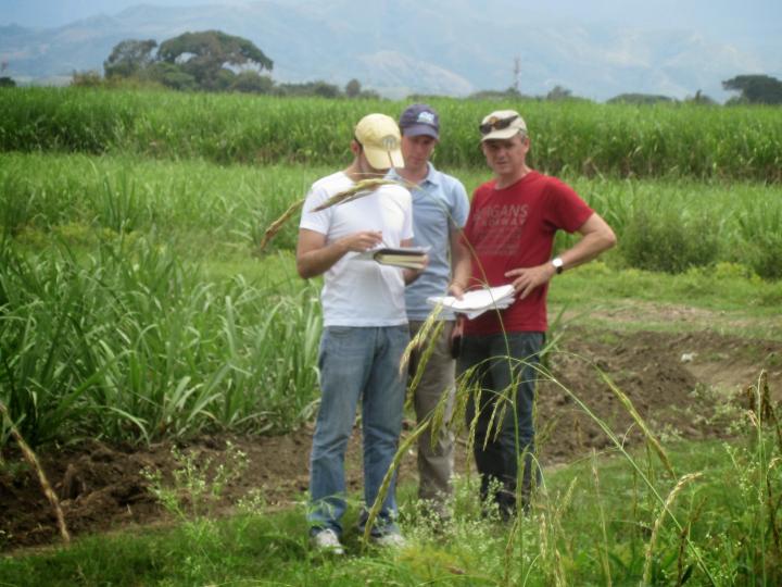 Trabajo de Campo
