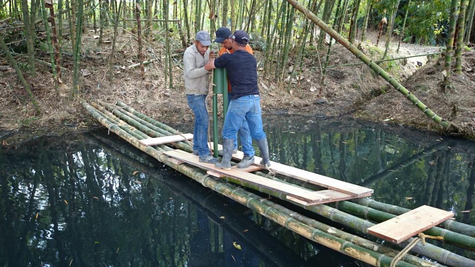 Trabajo de Campo