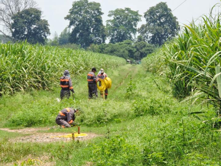 Trabajo de Campo