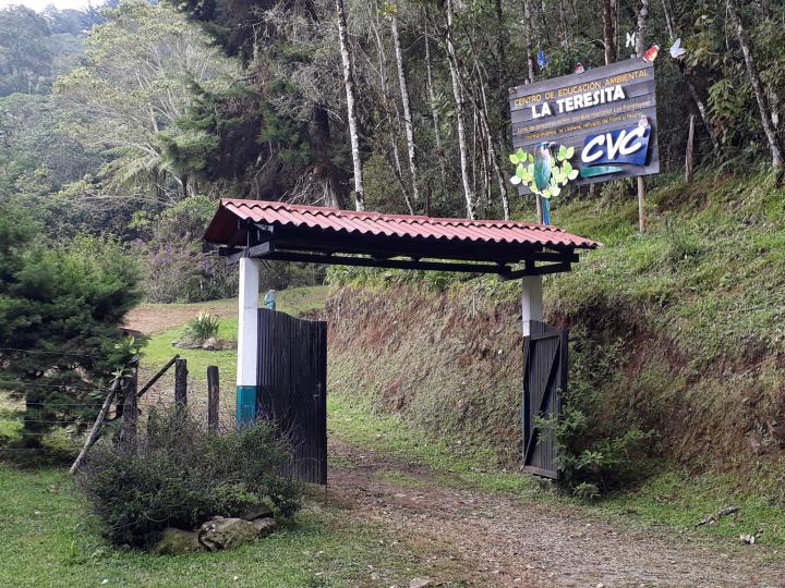 Galería de Imágenes la Teresita