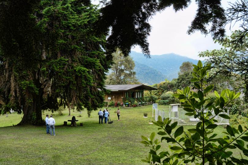 Galería de Imágenes la Teresita