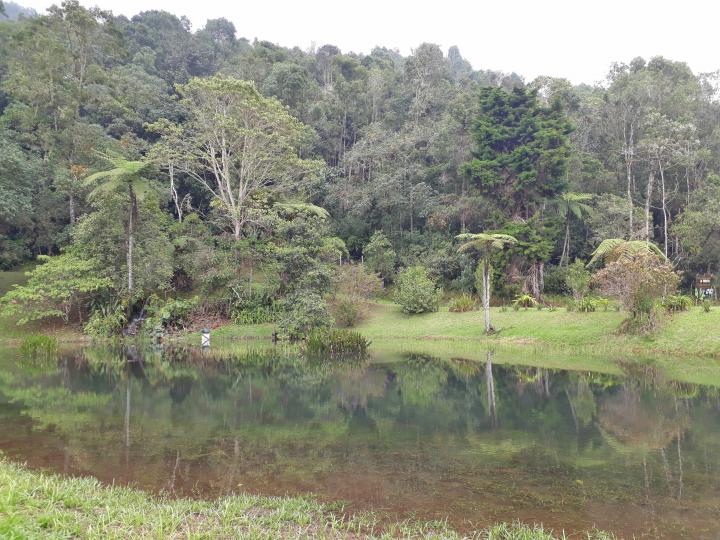 Galería de Imágenes la Teresita