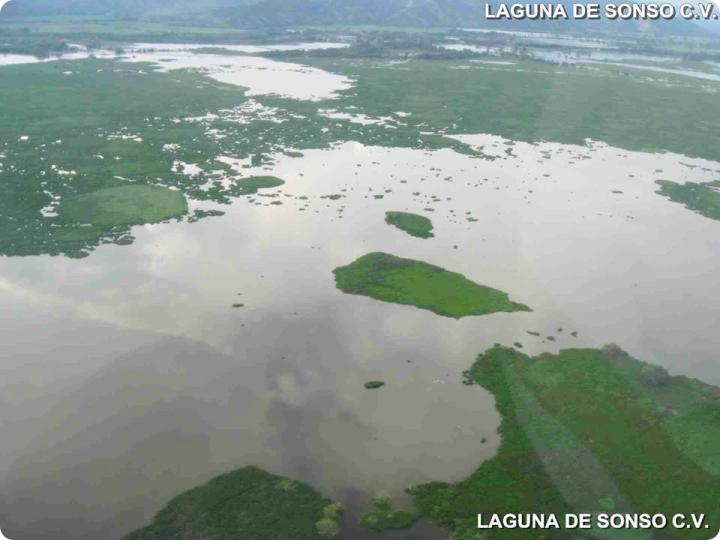 Centro de educación ambiental Buitre del ciénaga - laguna de sonso galería de imágenes 