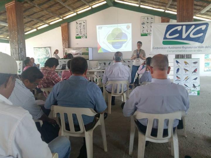 Centro de educación ambiental Buitre del ciénaga - laguna de sonso galería de imágenes 