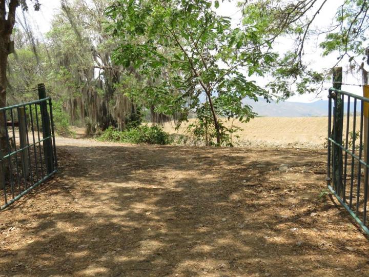 Centro de educación ambiental Buitre del ciénaga - laguna de sonso galería de imágenes 