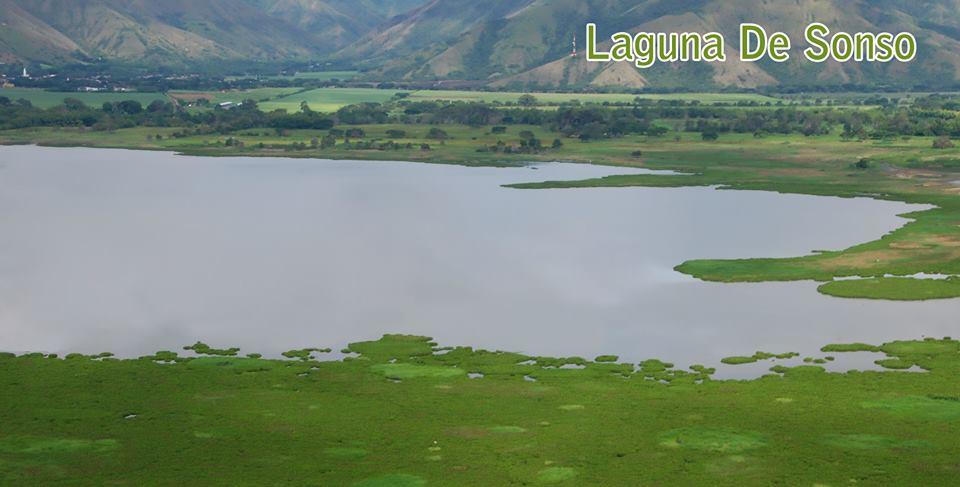 Centro de educación ambiental Buitre del ciénaga - laguna de sonso galería de imágenes 