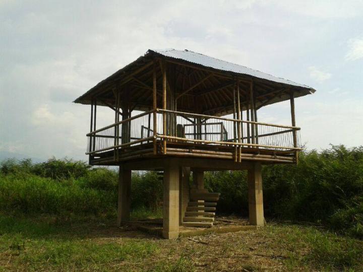 Centro de educación ambiental Buitre del ciénaga - laguna de sonso galería de imágenes 