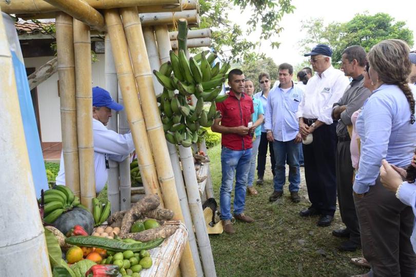 Galería de imágenes  las guacas